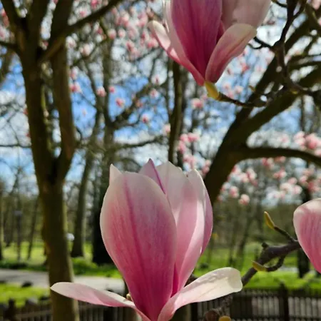 Kloster Langwaden 3* Grevenbroich