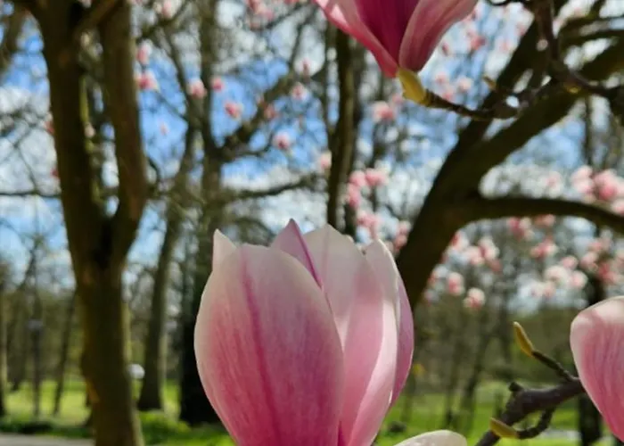 Kloster Langwaden 3* 그레벤브로히